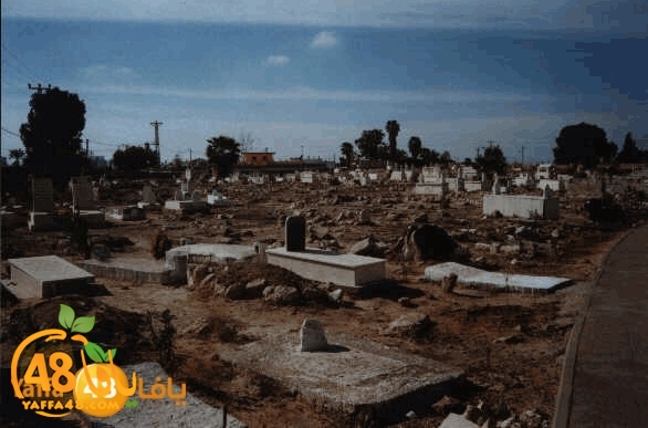 ayam nakba lud (6).jpg